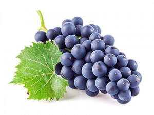 grapevine