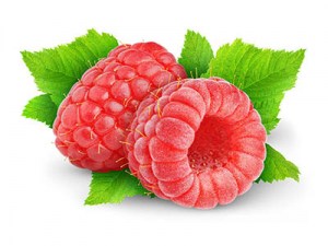 raspberry_bush